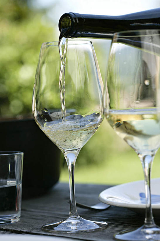 葡萄酒,无人,竖图,室内,特写,白天,正面,草地,草坪,水,植物,桌面,桌子,杯子,倒,阴影,光线,高脚杯,液体,影子,水滴,玻璃制品,酒瓶,草,树,树木,绿色,阳光,自然,玻璃瓶,酒杯,瓶子,生长,成长,流,葡萄酒杯,玻璃杯,彩图