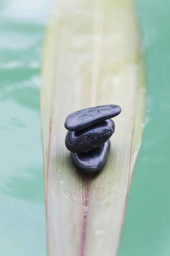 无人,竖图,俯视,室外,特写,白天,河流,石头,水,静物,叶子,三块,一堆,一片,堆叠,堆积,朦胧,模糊,石子,液体,河水,水滴,水流,绿叶,小溪,溪水,嫩叶,鹅卵石,堆,按摩石,棕榈叶,叶,叶片,石块,彩图,高角度拍摄