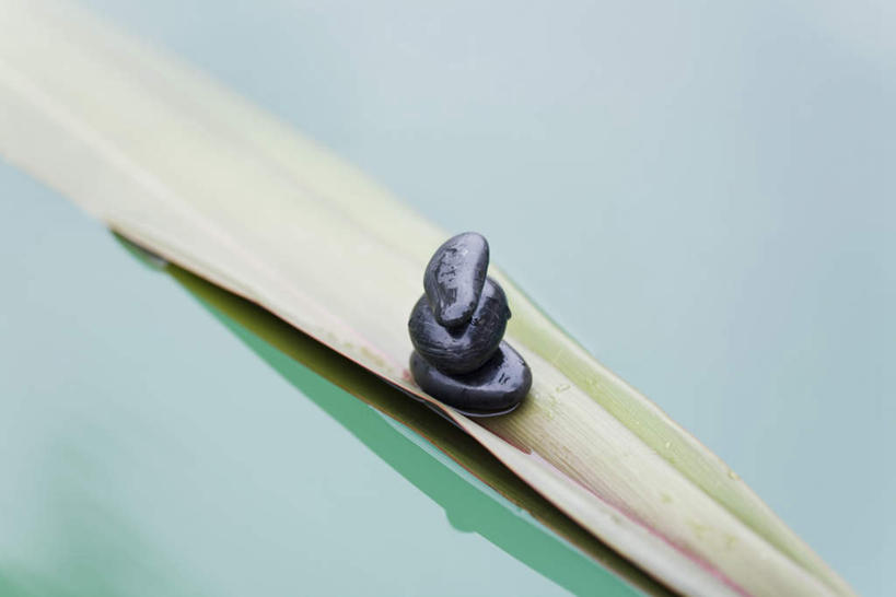 无人,横图,俯视,室内,特写,白天,河流,石头,水,静物,叶子,三块,一堆,一片,阴影,堆叠,堆积,朦胧,模糊,反射,石子,液体,影子,河水,水滴,水流,绿叶,小溪,溪水,嫩叶,鹅卵石,堆,按摩石,棕榈叶,叶,叶片,石块,彩图,高角度拍摄
