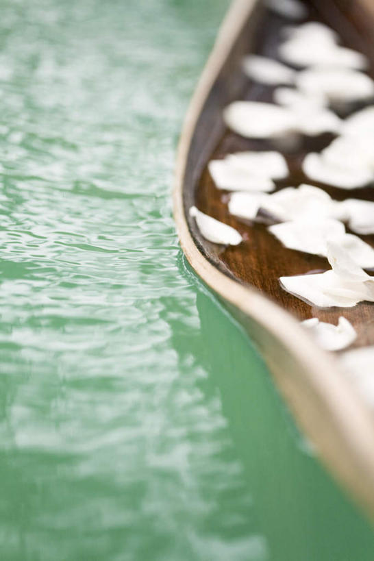 无人,竖图,俯视,室外,特写,白天,河流,水,叶子,许多,波纹,朦胧,模糊,散落,液体,河水,水滴,水流,绿叶,涟漪,花,花瓣,花朵,鲜花,绿色,白色,倒影,水纹,小溪,波浪,溪水,嫩叶,倒映,棕榈叶,水晕,反照,叶,叶片,彩图,高角度拍摄