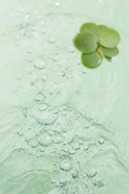 无人,竖图,俯视,室内,特写,白天,河流,水,静物,叶子,一堆,波纹,堆叠,堆积,朦胧,模糊,液体,河水,气泡,水滴,水流,绿叶,涟漪,水纹,小溪,泡泡,波浪,溪水,嫩叶,堆,水晕,叶,叶片,彩图,高角度拍摄