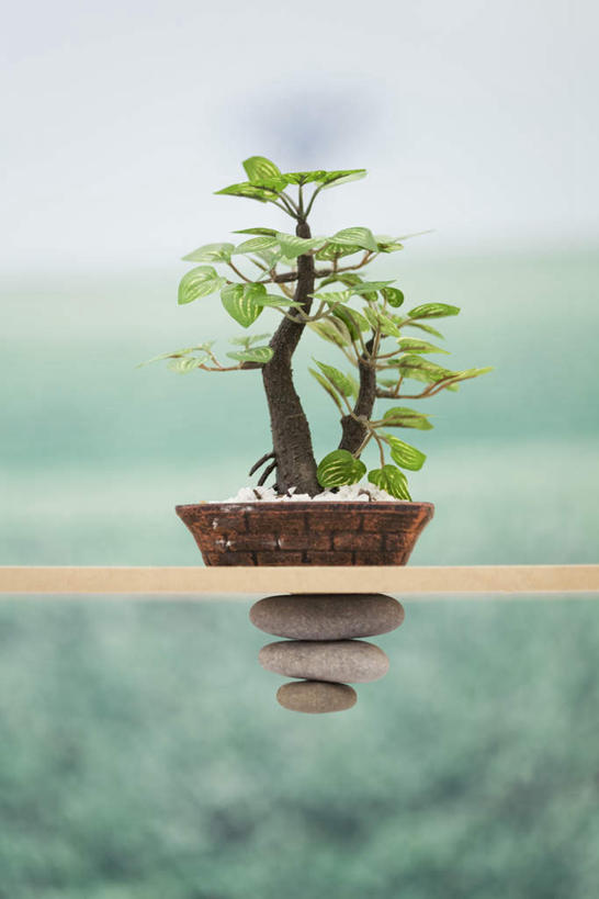 无人,竖图,室内,特写,白天,正面,石头,植物,静物,三块,一堆,一块,堆叠,堆积,朦胧,模糊,木制,木板,盆栽,石子,盆景,一个,绿色,自然,鹅卵石,生长,单个,成长,堆,按摩石,石块,彩图