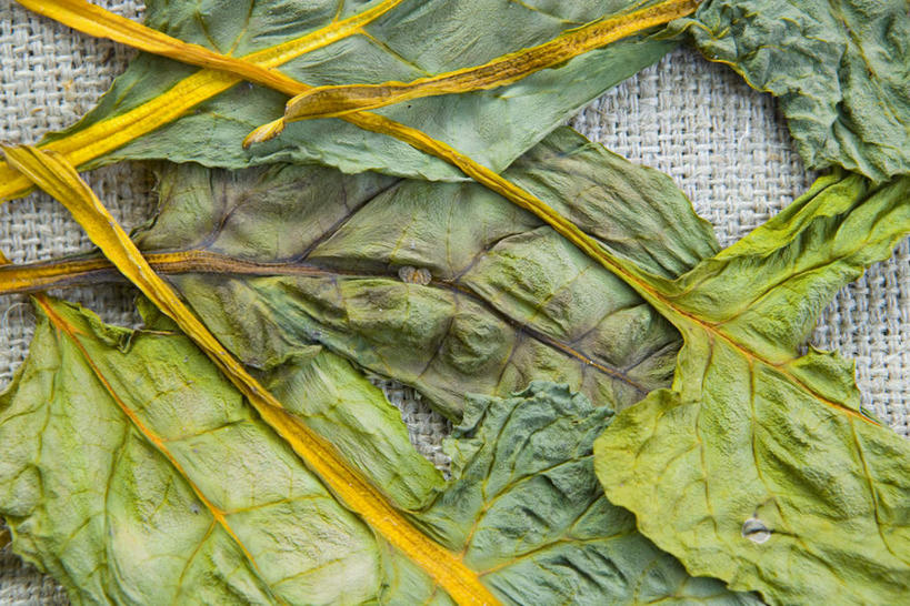 无人,横图,俯视,室外,特写,白天,蔬菜,叶子,一堆,许多,堆叠,堆积,新鲜,食品,绿叶,食物,绿色,嫩叶,有机食品,绿色食品,堆,叶,叶片,彩图,高角度拍摄