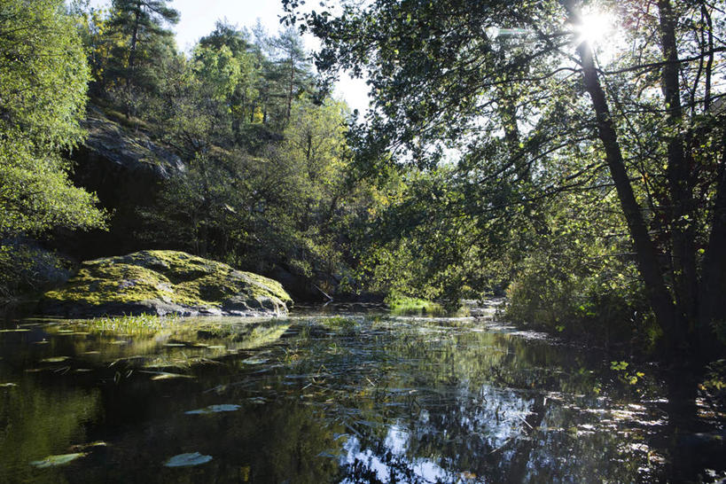 无人,横图,室外,白天,正面,旅游,度假,草地,草坪,河流,石头,美景,森林,树林,水,太阳,植物,阴影,光线,石子,影子,河水,景观,水流,娱乐,草,树,树木,蓝色,绿色,蓝天,天空,阳光,自然,天,享受,休闲,景色,放松,生长,成长,自然风光,石块,岩石,彩图