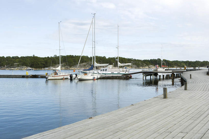 无人,码头,横图,室外,白天,正面,旅游,度假,河流,美景,树林,水,植物,地板,港口,许多,河水,景观,水流,游艇,地面,娱乐,木地板,树,树木,蓝色,绿色,蓝天,天空,自然,天,享受,休闲,景色,放松,生长,成长,自然风光,彩图,摆渡口,埠头,渡口,渡头,港湾,海港,货运码头,口岸,商港