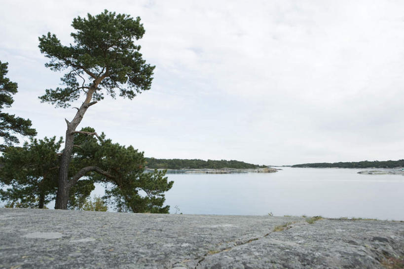 无人,横图,室外,白天,正面,旅游,度假,湖,湖泊,石头,美景,水,植物,石子,河岸,湖面,景观,水流,水面,云,云朵,地面,云彩,娱乐,树,树木,蓝色,绿色,白云,蓝天,天空,自然,湖水,天,享受,休闲,景色,放松,生长,成长,自然风光,石块,岩石,彩图