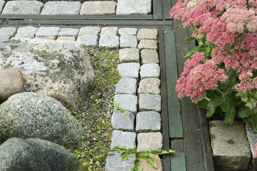 无人,横图,俯视,室外,白天,石头,植物,叶子,许多,阴影,盛开,光线,盆栽,石子,影子,砖块,庭院,院子,绿叶,盆景,地面,花蕾,花,花瓣,花朵,鲜花,粉色,绿色,阳光,自然,花苞,花蕊,嫩叶,砖头,生长,成长,叶,叶片,石块,彩图,高角度拍摄