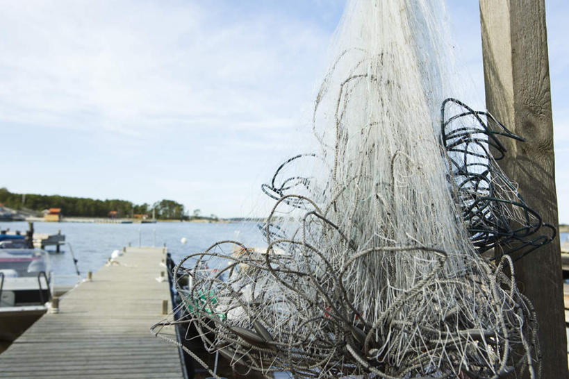 无人,横图,室外,白天,正面,湖,湖泊,森林,树林,水,植物,地板,船,悬挂,阴影,缠绕,光线,影子,湖面,水流,水面,云,云朵,地面,渔船,云彩,木地板,树,树木,蓝色,绿色,白云,蓝天,天空,阳光,自然,交通工具,湖水,天,生长,渔网,成长,渔具,抓捕,捕捞,鱼网,拉网,捕捞工具,彩图