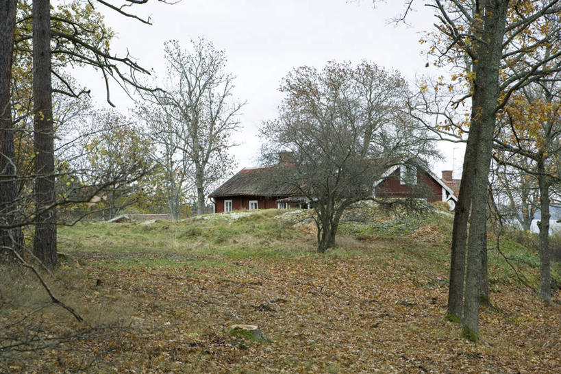 无人,家,农田,横图,室外,白天,正面,旅游,度假,庄稼,美景,山,植物,枯萎,房屋,屋子,景观,山峰,枯草,山峦,娱乐,楼房,住宅,草,树,树木,黄色,蓝色,绿色,蓝天,天空,自然,天,享受,休闲,景色,放松,生长,成长,自然风光,彩图,耕地,庄稼田,房子