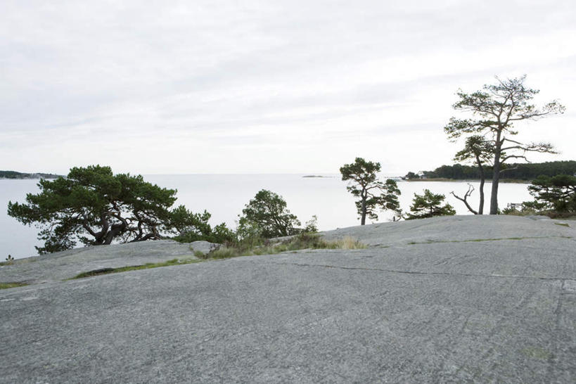 无人,横图,室外,白天,正面,旅游,度假,草地,草坪,海浪,海洋,石头,美景,植物,石子,景观,浪花,云,云朵,云彩,娱乐,草,树,树木,蓝色,绿色,白云,蓝天,天空,自然,海水,天,享受,休闲,景色,放松,生长,成长,自然风光,海景,大海,风浪,海,海水的波动,近岸浪,石块,岩石,涌浪,彩图