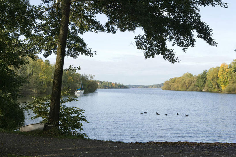 无人,横图,室外,白天,正面,旅游,度假,河流,美景,树林,水,植物,野生动物,许多,阴影,光线,鸭子,影子,河水,景观,水流,云,云朵,地面,云彩,娱乐,树,树木,蓝色,绿色,白云,蓝天,天空,阳光,自然,动物,天,享受,休闲,家畜,景色,放松,可爱,活泼,生长,成长,自然风光,彩图