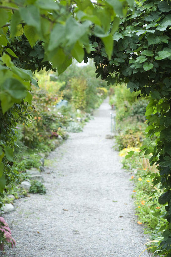 无人,竖图,俯视,室外,白天,旅游,度假,美景,树林,植物,道路,路,叶子,阴影,光线,影子,庭院,景观,小路,院子,绿叶,地面,交通,娱乐,树,树木,绿色,阳光,自然,享受,休闲,嫩叶,景色,放松,生长,成长,自然风光,叶,叶片,彩图,高角度拍摄