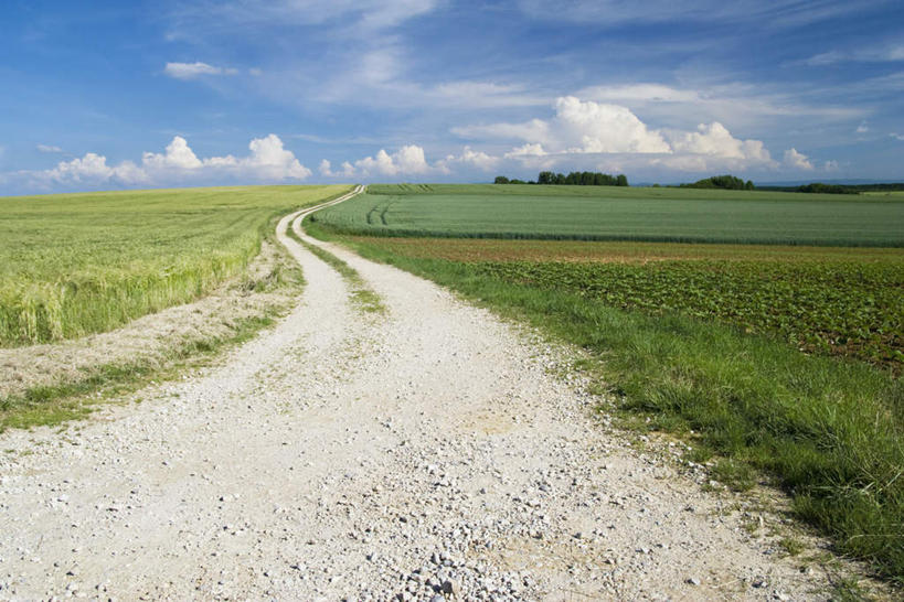 无人,农田,横图,室外,白天,正面,旅游,度假,庄稼,草地,草坪,美景,植物,道路,路,景观,云,云朵,小路,地面,交通,云彩,娱乐,草,树,树木,蓝色,绿色,白云,蓝天,天空,自然,天,享受,休闲,景色,放松,生长,成长,自然风光,彩图,耕地,庄稼田