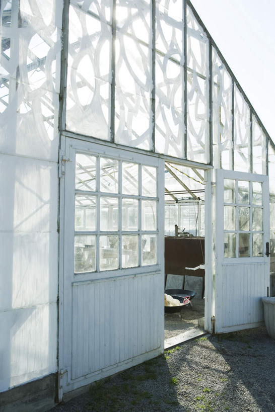 无人,家,竖图,室外,白天,正面,植物,窗户,门,桌子,阴影,光线,方格,盆栽,影子,房屋,屋子,青苔,盆景,地面,温室,楼房,玻璃窗,住宅,绿色,阳光,自然,框架,门框,生长,成长,彩图,房子