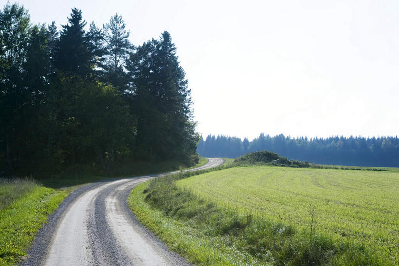 无人,农田,横图,室外,白天,正面,旅游,度假,庄稼,草地,草坪,美景,树林,植物,道路,路,阴影,光线,影子,景观,小路,地面,交通,娱乐,草,树,树木,蓝色,绿色,蓝天,天空,阳光,自然,天,享受,休闲,景色,放松,生长,成长,自然风光,彩图,耕地,庄稼田