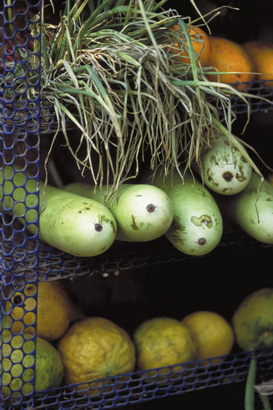 无人,竖图,室内,特写,白天,正面,柑橘,柠檬,萝卜,胡萝卜,蔬菜,洋葱,水果,许多,阴影,新鲜,光线,葫芦,影子,支架,生食,食品,果实,食物,阳光,有机食品,绿色食品,益母果,柠果,橘子,桔子,橙子,橙,圆葱,洋葱头,球葱,红萝卜,甘荀,彩图