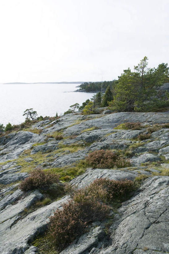 无人,竖图,室外,白天,正面,旅游,度假,草地,草坪,海浪,海洋,石头,美景,植物,阴影,光线,石子,影子,河岸,景观,浪花,地面,娱乐,草,树,树木,蓝色,绿色,蓝天,天空,阳光,自然,海水,天,享受,休闲,景色,放松,生长,成长,自然风光,海景,大海,风浪,海,海水的波动,近岸浪,石块,岩石,涌浪,彩图