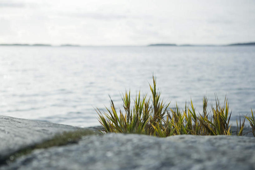 无人,横图,室外,白天,正面,旅游,度假,草地,草坪,岛屿,海浪,海洋,石头,美景,植物,波纹,石子,景观,浪花,云,云朵,云彩,娱乐,草,蓝色,绿色,白云,蓝天,水纹,天空,自然,海水,波浪,天,享受,休闲,景色,放松,自然风光,海景,大海,风浪,海,海水的波动,近岸浪,列岛,群岛,石块,岩石,涌浪,诸岛,彩图