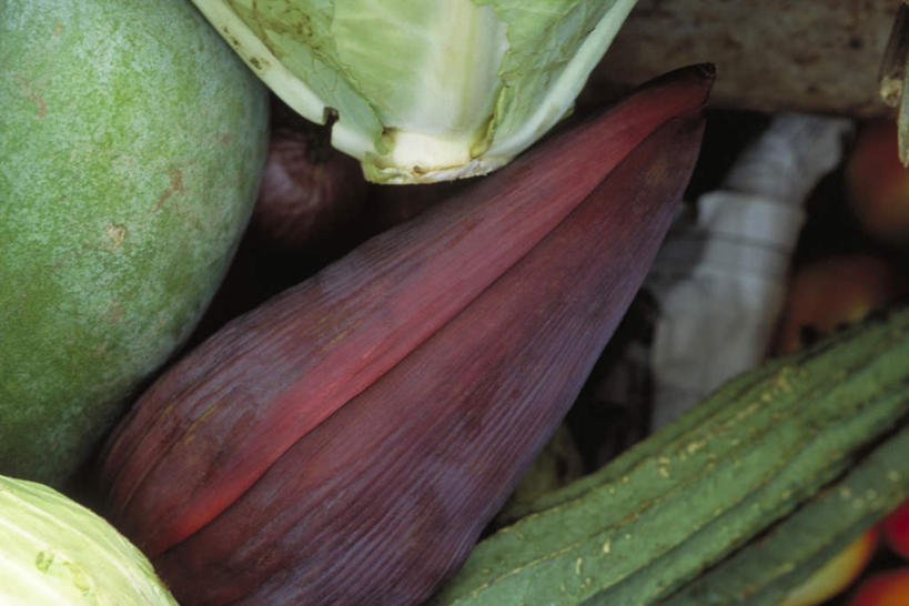 无人,横图,俯视,室外,特写,白天,玉米,香蕉,萝卜,胡萝卜,黄瓜,蔬菜,西红柿,许多,新鲜,食品,白菜,花,食物,一个,红色,有机食品,绿色食品,单个,樱桃番茄,圣女果,青瓜,胡瓜,红萝卜,甘荀,番茄,彩图,高角度拍摄