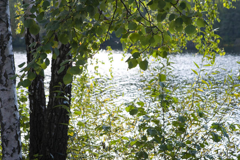 无人,横图,俯视,室外,白天,旅游,度假,湖,湖泊,美景,水,植物,阴影,波纹,光线,影子,湖面,景观,水流,水面,娱乐,树,树木,绿色,水纹,阳光,自然,波浪,湖水,享受,休闲,景色,放松,生长,成长,自然风光,彩图,高角度拍摄