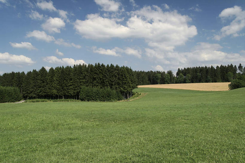 无人,横图,室外,白天,正面,旅游,度假,草地,草坪,美景,树林,植物,景观,云,云朵,地面,云彩,娱乐,草,树,树木,蓝色,绿色,白云,蓝天,天空,自然,天,享受,休闲,景色,放松,生长,成长,自然风光,彩图