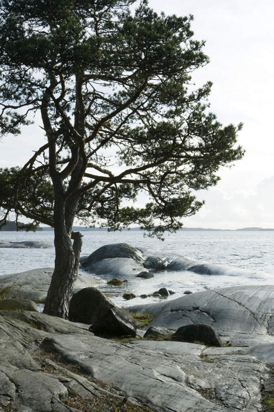 无人,竖图,室外,白天,正面,旅游,度假,海浪,海洋,石头,美景,植物,阴影,光线,石子,影子,景观,浪花,云,云朵,云彩,娱乐,树,树木,蓝色,绿色,白云,蓝天,天空,阳光,自然,海水,天,享受,休闲,景色,放松,生长,成长,自然风光,海景,大海,风浪,海,海水的波动,近岸浪,石块,岩石,涌浪,彩图