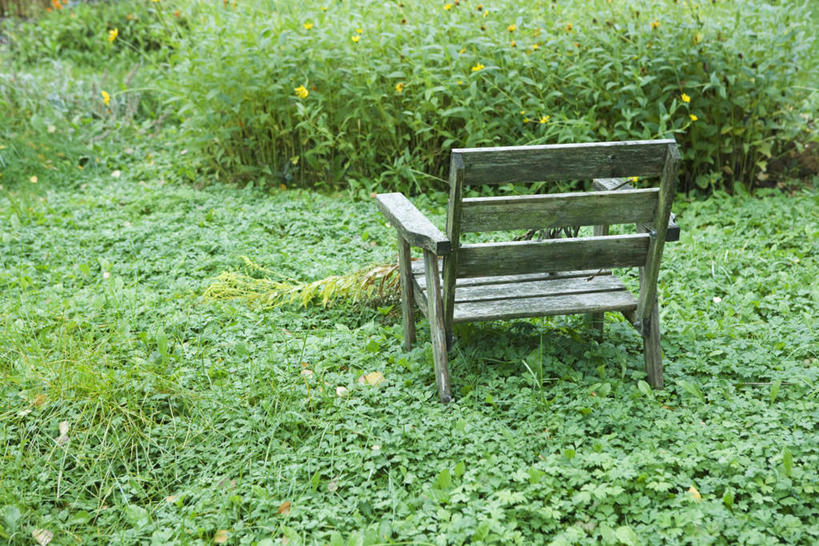 无人,横图,俯视,室外,特写,白天,草地,草坪,植物,椅子,木椅,庭院,院子,草,一个,绿色,单个,彩图,高角度拍摄