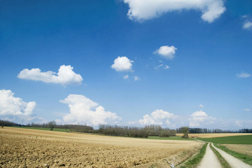 无人,农田,横图,室外,白天,正面,旅游,度假,庄稼,草地,草坪,美景,树林,植物,道路,路,景观,云,云朵,小路,地面,交通,云彩,娱乐,草,树,树木,蓝色,绿色,白云,蓝天,天空,自然,天,享受,休闲,景色,放松,生长,成长,自然风光,彩图,耕地,庄稼田