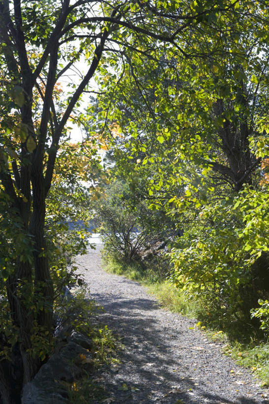 无人,横图,室外,白天,正面,旅游,度假,草地,草坪,美景,树林,植物,道路,路,叶子,阴影,光线,沙子,影子,景观,沙,小路,绿叶,地面,交通,娱乐,草,树,树木,蓝色,绿色,蓝天,天空,阳光,自然,天,享受,休闲,嫩叶,景色,放松,生长,成长,自然风光,叶,叶片,彩图