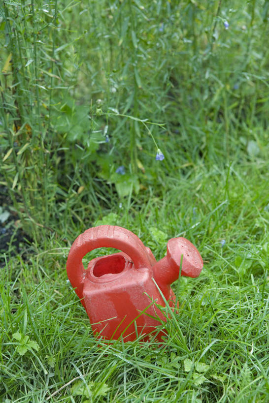 无人,竖图,俯视,室外,白天,草地,草坪,美景,植物,壶,桶,景观,洒水壶,水壶,草,一个,红色,绿色,自然,容器,景色,单个,储藏,储存,自然风光,浇水壶,彩图,高角度拍摄,贮存