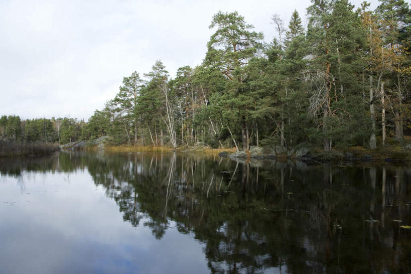 无人,横图,室外,白天,正面,旅游,度假,草地,草坪,河流,美景,森林,树林,水,植物,叶子,阴影,光线,影子,河水,景观,水流,绿叶,娱乐,草,树,树木,蓝色,绿色,蓝天,天空,阳光,自然,天,享受,休闲,嫩叶,景色,放松,生长,成长,自然风光,叶,叶片,彩图