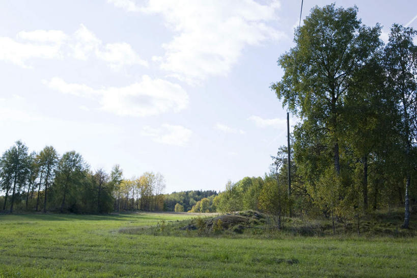 无人,农田,横图,室外,白天,正面,旅游,度假,庄稼,草地,草坪,石头,美景,树林,植物,阴影,光线,石子,影子,景观,云,云朵,云彩,娱乐,草,树,树木,蓝色,绿色,白云,蓝天,天空,阳光,自然,天,享受,休闲,景色,放松,生长,成长,自然风光,石块,彩图,耕地,庄稼田