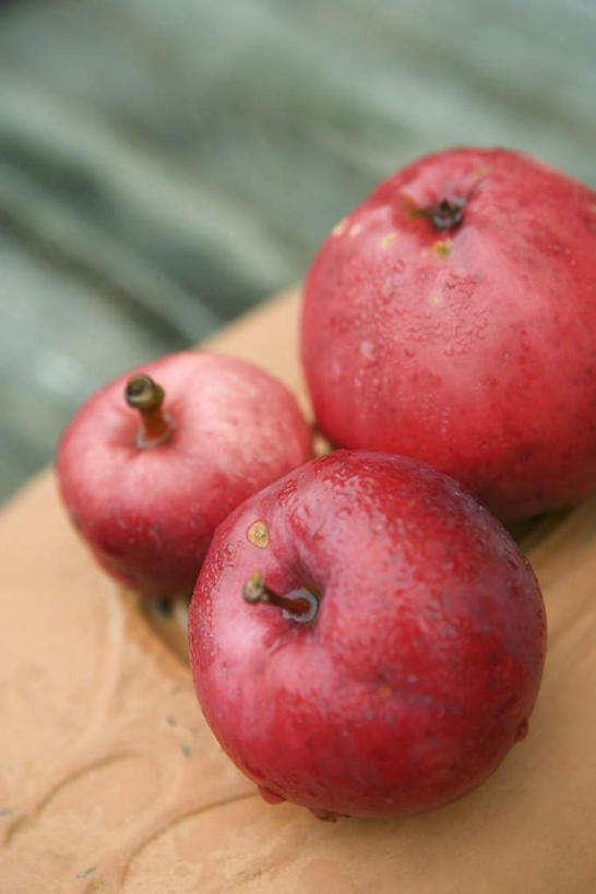 无人,竖图,俯视,室外,特写,白天,水,餐桌,桌子,苹果,水果,朦胧,模糊,新鲜,液体,水滴,生食,食品,果实,食物,三个,红色,有机食品,绿色食品,餐台,彩图,高角度拍摄