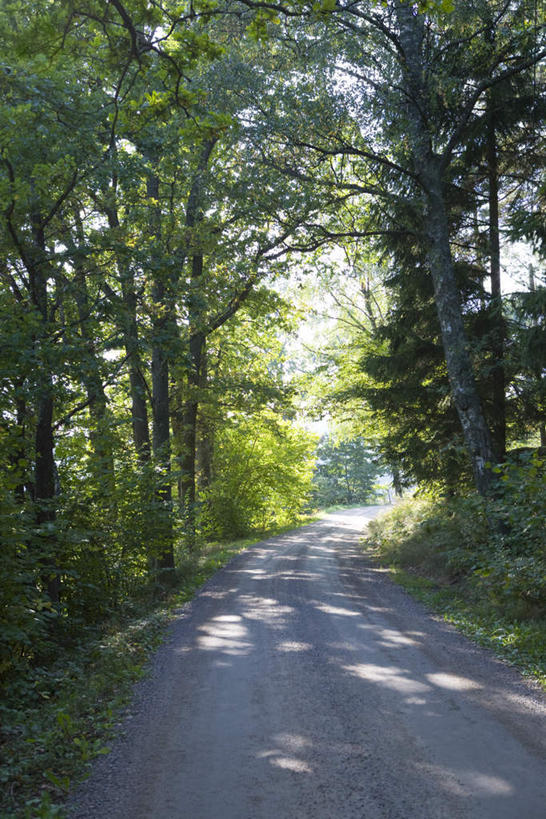 无人,竖图,室外,白天,正面,旅游,度假,草地,草坪,石头,美景,树林,植物,道路,路,叶子,阴影,光线,石子,影子,景观,小路,绿叶,交通,娱乐,草,树,树木,蓝色,绿色,蓝天,天空,阳光,自然,天,享受,休闲,嫩叶,景色,放松,生长,成长,自然风光,叶,叶片,石块,彩图