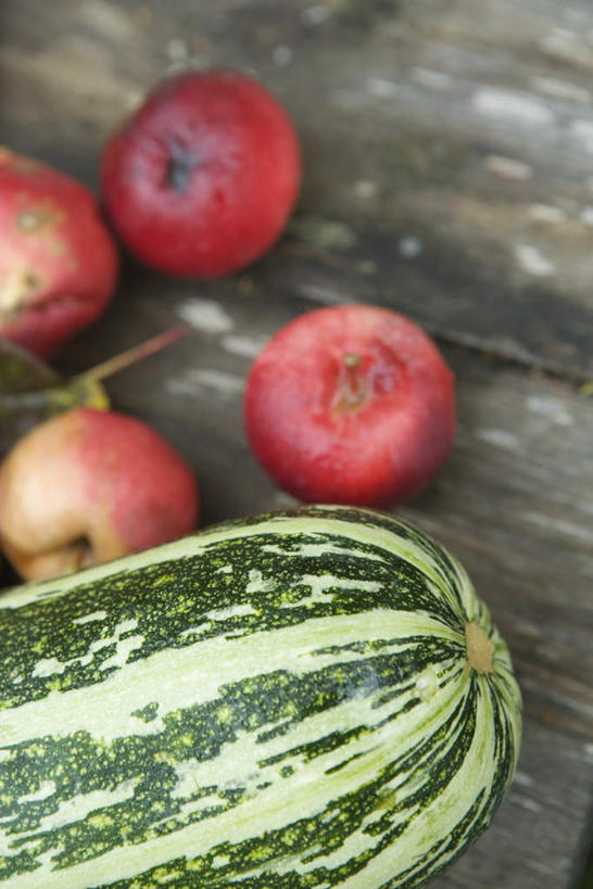 无人,竖图,俯视,室外,特写,白天,餐桌,桌子,苹果,蔬菜,水果,朦胧,模糊,新鲜,生食,食品,果实,西葫芦,食物,一个,红色,绿色,四个,白瓜,有机食品,绿色食品,单个,餐台,茭瓜,彩图,高角度拍摄