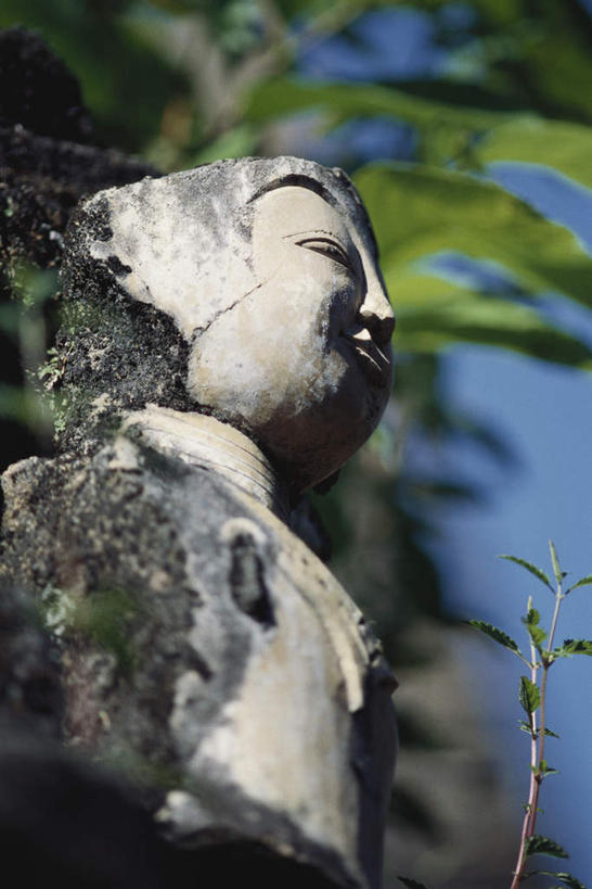 无人,竖图,室外,特写,白天,仰视,植物,叶子,雕塑,阴影,节日,朦胧,模糊,艺术,装饰,残缺,光线,雕刻,雕像,影子,绿叶,文化,石雕,树,树木,一个,蓝色,绿色,蓝天,天空,阳光,自然,工艺品,天,祈祷,健康,嫩叶,许愿,宗教,信仰,生长,单个,成长,纪念,祈求,美术,主题,陈列,功能,美学,平安,叶,叶片,彩图,低角度拍摄