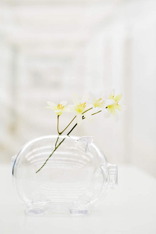 无人,竖图,室内,特写,白天,正面,植物,桌面,桌子,静物,花瓶,四朵,朦胧,模糊,盛开,透明,花,花瓣,花朵,花卉,鲜花,黄色,白色,瓶子,容器,塑料制品,花蕊,储蓄罐,器皿,塑料瓶,储蓄,存钱,金融,理财,经济,资金,存钱罐,存款,流通,贸易,贮钱罐,储钱罐,扑满,彩图