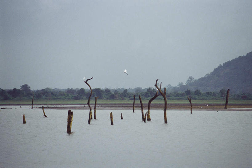 无人,横图,室外,白天,正面,旅游,度假,湖,湖泊,美景,山,树林,水,雪,植物,大雪,斯里兰卡,亚洲,一排,许多,枯萎,整齐,湖面,积雪,景观,山峰,水流,水面,雪景,云,云朵,冬天,山峦,云彩,娱乐,树,树干,树木,排列,蓝色,白云,蓝天,天空,自然,湖水,天,享受,休闲,景色,放松,生长,成长,队列,自然风光,南亚,斯里兰卡民主社会主义共和国,彩图