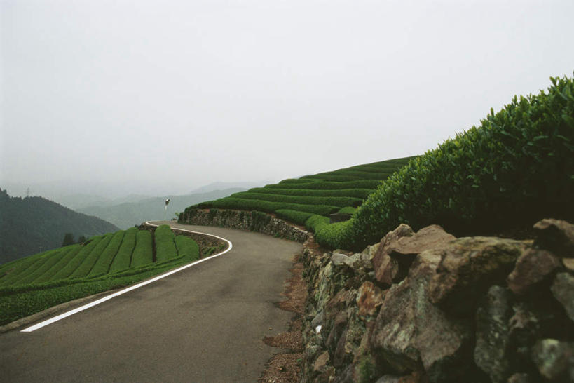 无人,横图,室外,白天,正面,旅游,度假,草地,草坪,美景,山,树林,植物,道路,路,公路,日本,亚洲,景观,山峰,云,云朵,交通,山峦,云彩,娱乐,草,树,树木,蓝色,绿色,白云,蓝天,天空,自然,天,享受,休闲,景色,放松,生长,成长,自然风光,东亚,日本国,马路,彩图