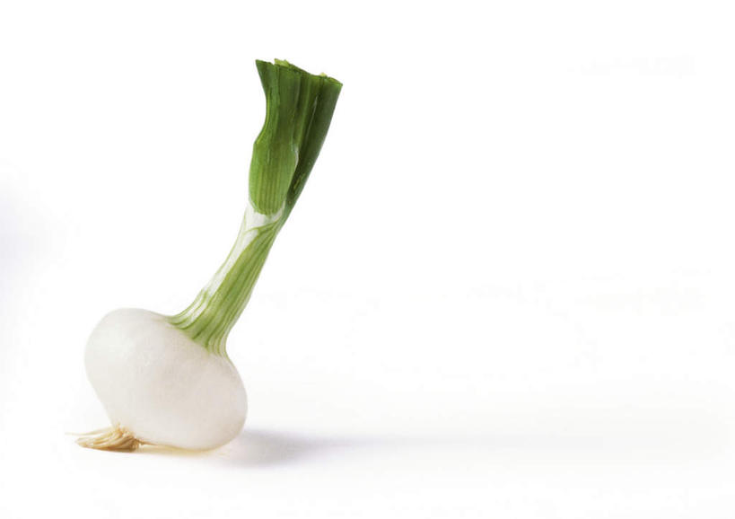无人,横图,俯视,室内,特写,白天,白色背景,餐桌,桌子,蔬菜,静物,阴影,新鲜,反射,影子,葱,青葱,生食,食品,食物,一个,摄影,有机食品,绿色食品,影棚,单个,餐台,彩图,高角度拍摄,影棚拍摄,拍摄