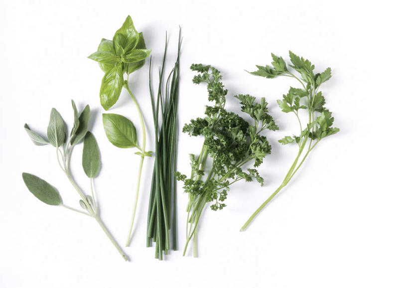无人,横图,俯视,室内,特写,白天,白色背景,植物,餐桌,桌子,蔬菜,静物,叶子,新鲜,葱,青葱,生食,香料,食品,绿叶,草药,中药,食物,绿色,香草,嫩叶,摄影,有机食品,绿色食品,荷兰芹,欧芹,香芹,影棚,餐台,罗勒,鼠尾草,紫苏,药材,中草药,九层塔,圣约瑟夫草,甜罗勒,兰香,中药材,本草,法香,巴西利,洋香菜,洋芫荽,法国香菜,旱芹菜,番荽,叶,叶片,彩图,高角度拍摄,影棚拍摄,拍摄