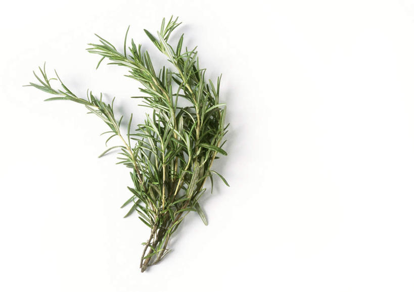 无人,横图,俯视,室内,特写,白天,白色背景,餐桌,桌子,蔬菜,静物,新鲜,生食,食品,食物,一个,绿色,摄影,有机食品,绿色食品,影棚,单个,餐台,迷迭香,海洋之露,彩图,高角度拍摄,影棚拍摄,拍摄