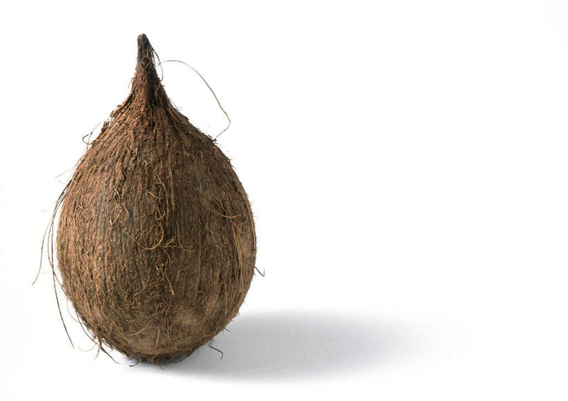 无人,横图,俯视,室内,特写,白天,白色背景,餐桌,桌子,椰子,静物,水果,新鲜,生食,食品,棕色,果实,食物,一个,摄影,有机食品,绿色食品,影棚,单个,餐台,彩图,高角度拍摄,影棚拍摄,拍摄