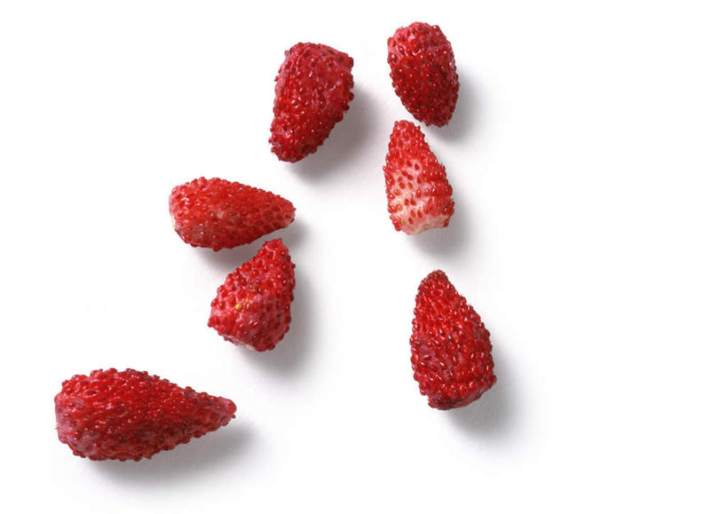 无人,横图,俯视,室内,特写,白天,白色背景,餐桌,桌子,草莓,浆果,静物,水果,许多,新鲜,生食,食品,果实,食物,红色,摄影,有机食品,绿色食品,影棚,餐台,洋莓,水果皇后,红莓,地莓,彩图,高角度拍摄,影棚拍摄,拍摄