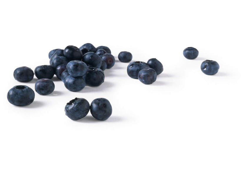 无人,横图,俯视,室内,特写,白天,白色背景,餐桌,桌子,浆果,蓝莓,静物,水果,许多,新鲜,生食,食品,果实,食物,蓝色,摄影,有机食品,绿色食品,影棚,餐台,山都柿,蓝浆果,蓝靛果,彩图,高角度拍摄,影棚拍摄,拍摄