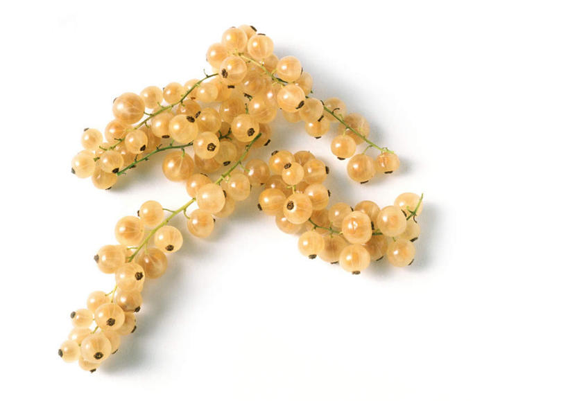 无人,横图,俯视,室内,特写,白天,白色背景,餐桌,桌子,浆果,静物,水果,许多,新鲜,灯笼果,生食,食品,果实,食物,白色,摄影,有机食品,绿色食品,影棚,餐台,红醋栗,醋栗,彩图,高角度拍摄,影棚拍摄,拍摄