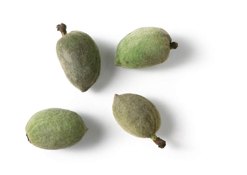 无人,横图,俯视,室内,特写,白天,白色背景,餐桌,桌子,杏仁,静物,水果,新鲜,生食,食品,果实,食物,绿色,四个,摄影,有机食品,绿色食品,影棚,餐台,彩图,高角度拍摄,影棚拍摄,拍摄