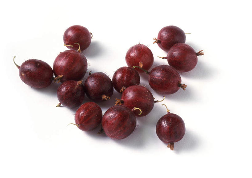 无人,横图,俯视,室内,特写,白天,白色背景,餐桌,桌子,浆果,静物,水果,一堆,堆叠,堆积,新鲜,灯笼果,生食,食品,果实,食物,红色,摄影,有机食品,绿色食品,影棚,餐台,堆,醋栗,彩图,高角度拍摄,影棚拍摄,拍摄