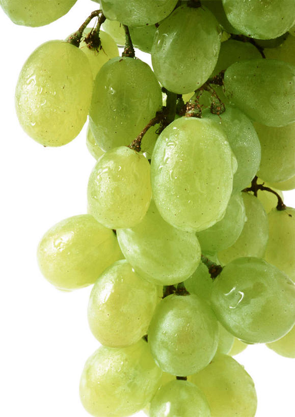 无人,竖图,俯视,室内,特写,白天,白色背景,餐桌,桌子,葡萄,静物,水果,新鲜,生食,食品,果实,食物,绿色,摄影,有机食品,绿色食品,影棚,餐台,山葫芦,蒲桃,草龙珠,彩图,高角度拍摄,影棚拍摄,拍摄