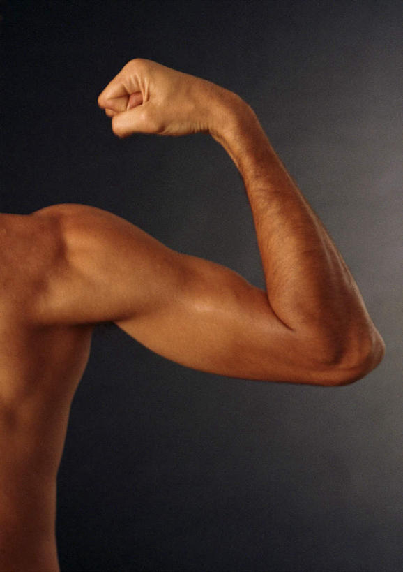 西方人,手,肌肉,一个人,站,举,竖图,室内,白天,正面,锻炼,运动,欧洲,欧洲人,仅一个男性,仅一个人,裸露,仅一个年轻男性,托,站着,手部,裸,体育,男人,男性,年轻男性,白种人,手臂,举起,举手,举着,向上举,向上伸,向上托,站立,半身,彩图,健身